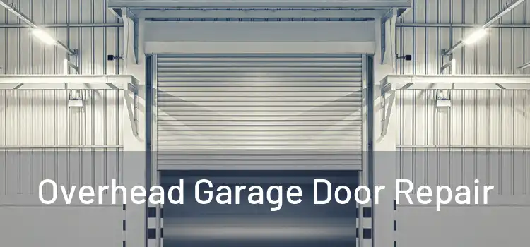  Overhead Garage Door Repair 